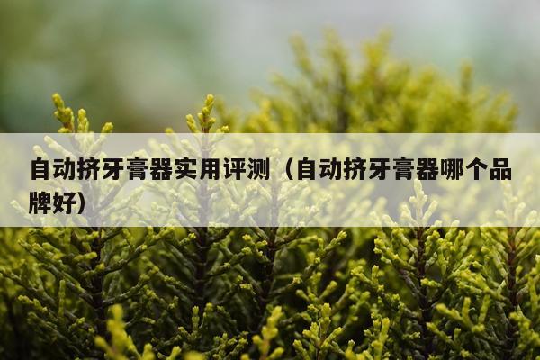 自动挤牙膏器实用评测（自动挤牙膏器哪个品牌好）