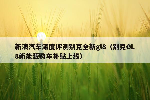新浪汽车深度评测别克全新gl8（别克GL8新能源购车补贴上线）