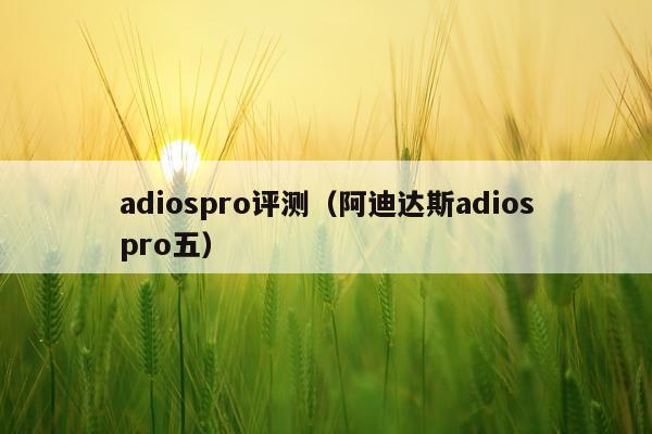 adiospro评测（阿迪达斯adiospro五）