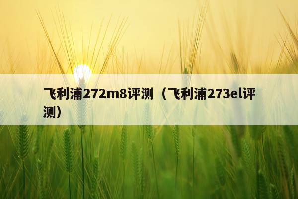 飞利浦272m8评测（飞利浦273el评测）