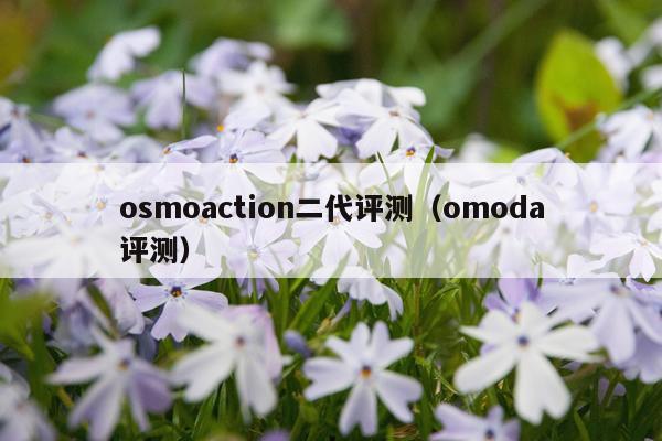 osmoaction二代评测（omoda评测）