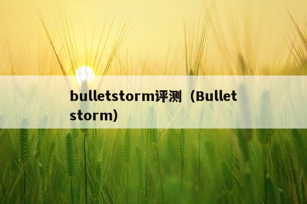bulletstorm评测（Bulletstorm）