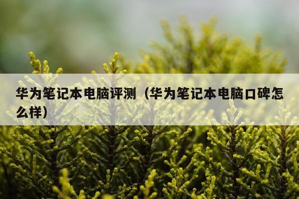 华为笔记本电脑评测（华为笔记本电脑口碑怎么样）