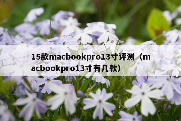 15款macbookpro13寸评测（macbookpro13寸有几款）