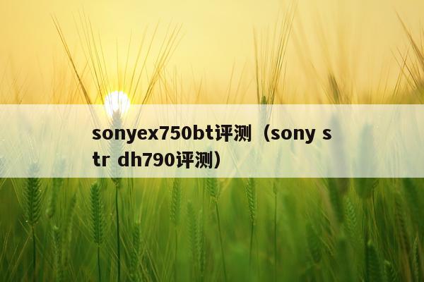 sonyex750bt评测（sony str dh790评测）