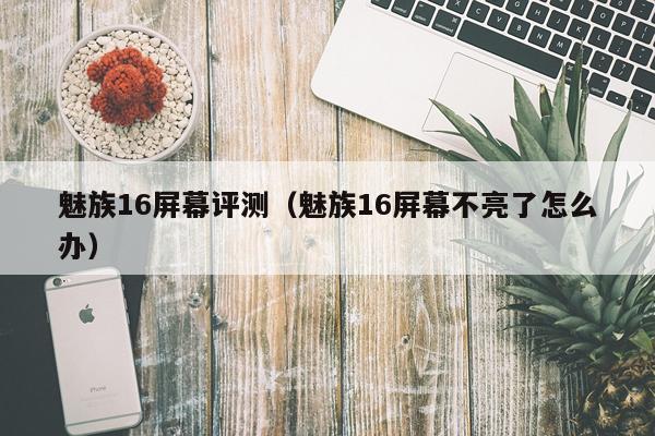 魅族16屏幕评测（魅族16屏幕不亮了怎么办）