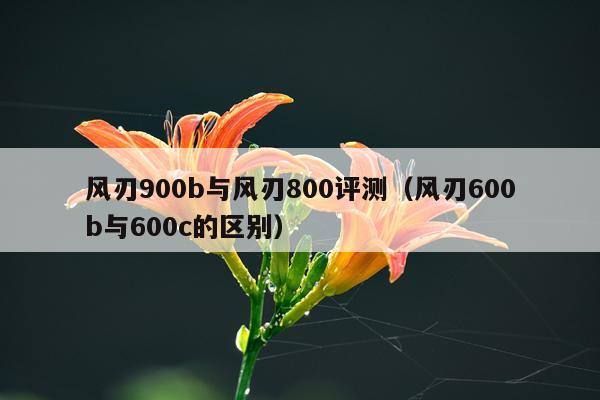 风刃900b与风刃800评测（风刃600b与600c的区别）