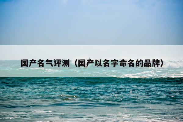 国产名气评测（国产以名字命名的品牌）