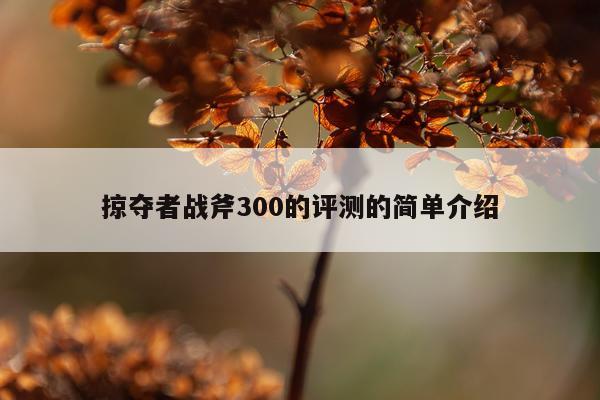 掠夺者战斧300的评测的简单介绍