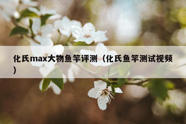 化氏max大物鱼竿评测（化氏鱼竿测试视频）