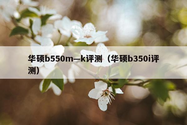 华硕b550m—k评测（华硕b350i评测）