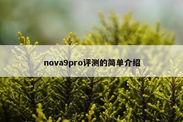 nova9pro评测的简单介绍