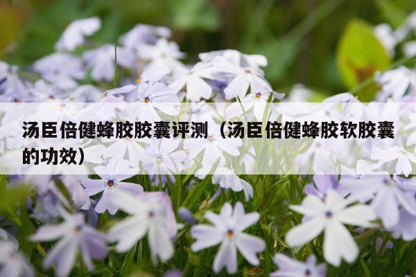 汤臣倍健蜂胶胶囊评测（汤臣倍健蜂胶软胶囊的功效）