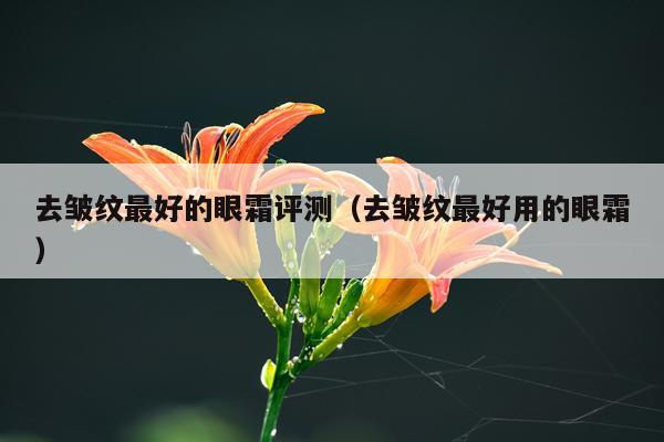 去皱纹最好的眼霜评测（去皱纹最好用的眼霜）