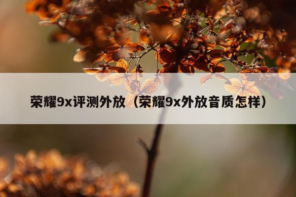 荣耀9x评测外放（荣耀9x外放音质怎样）