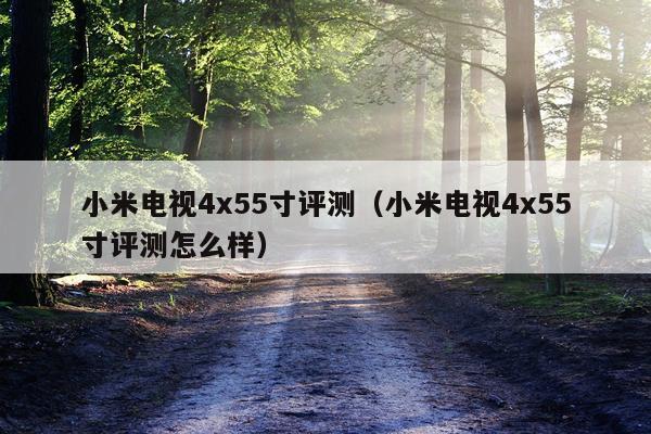 小米电视4x55寸评测（小米电视4x55寸评测怎么样）