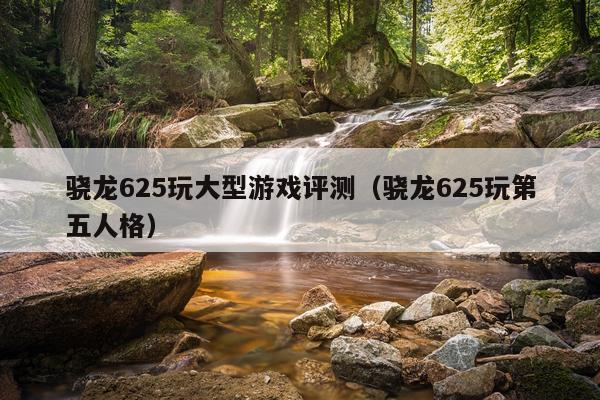 骁龙625玩大型游戏评测（骁龙625玩第五人格）