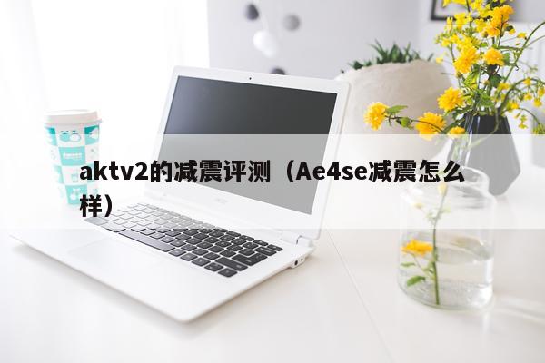 aktv2的减震评测（Ae4se减震怎么样）