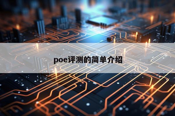 poe评测的简单介绍