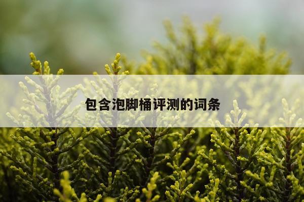 包含泡脚桶评测的词条