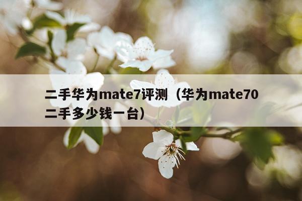 二手华为mate7评测（华为mate70二手多少钱一台）