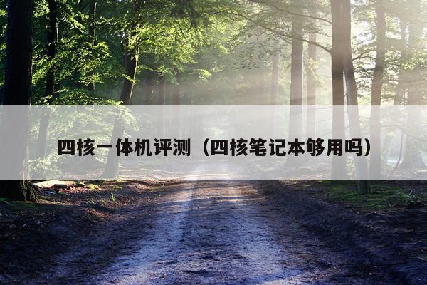四核一体机评测（四核笔记本够用吗）