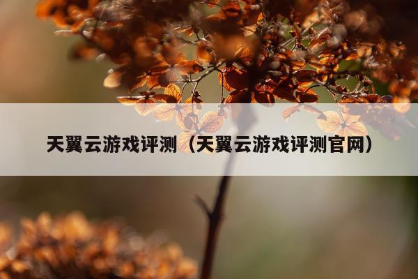 天翼云游戏评测（天翼云游戏评测官网）