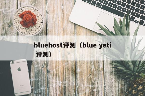 bluehost评测（blue yeti 评测）
