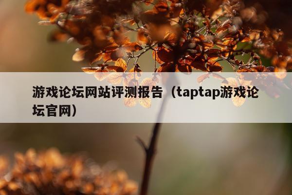 游戏论坛网站评测报告（taptap游戏论坛官网）