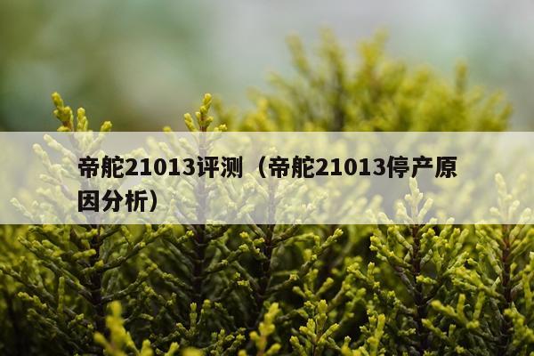 帝舵21013评测（帝舵21013停产原因分析）