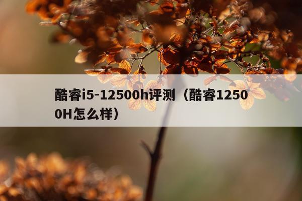酷睿i5-12500h评测（酷睿12500H怎么样）