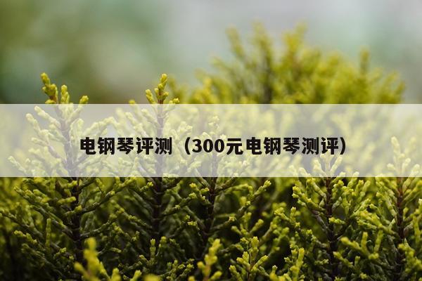 电钢琴评测（300元电钢琴测评）