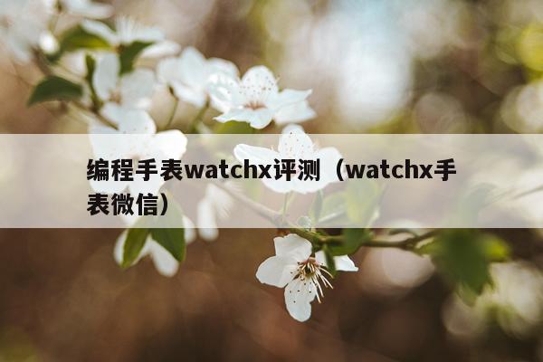 编程手表watchx评测（watchx手表微信）