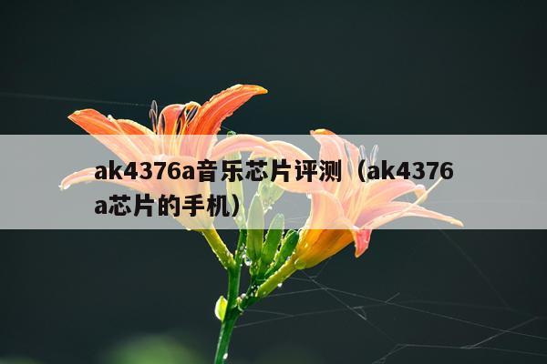 ak4376a音乐芯片评测（ak4376a芯片的手机）