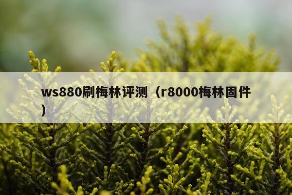 ws880刷梅林评测（r8000梅林固件）