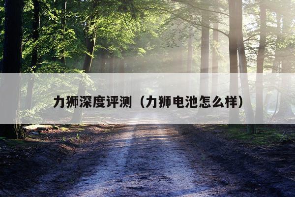 力狮深度评测（力狮电池怎么样）
