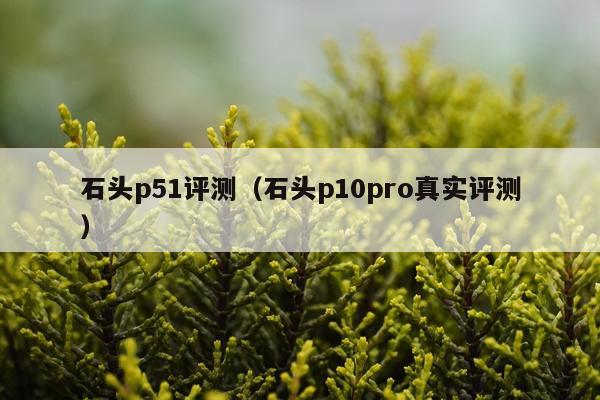 石头p51评测（石头p10pro真实评测）
