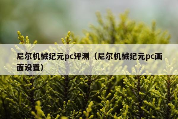 尼尔机械纪元pc评测（尼尔机械纪元pc画面设置）