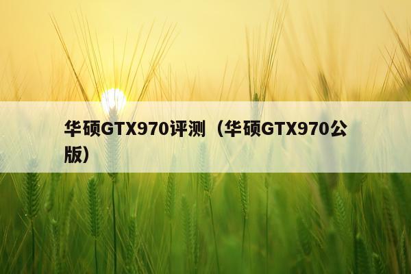 华硕GTX970评测（华硕GTX970公版）