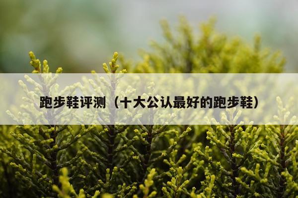 跑步鞋评测（十大公认最好的跑步鞋）