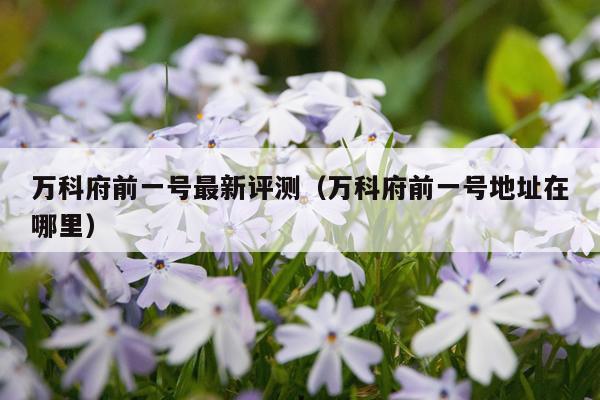 万科府前一号最新评测（万科府前一号地址在哪里）