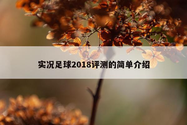 实况足球2018评测的简单介绍
