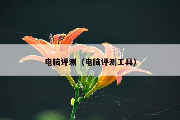 电脑评测（电脑评测工具）