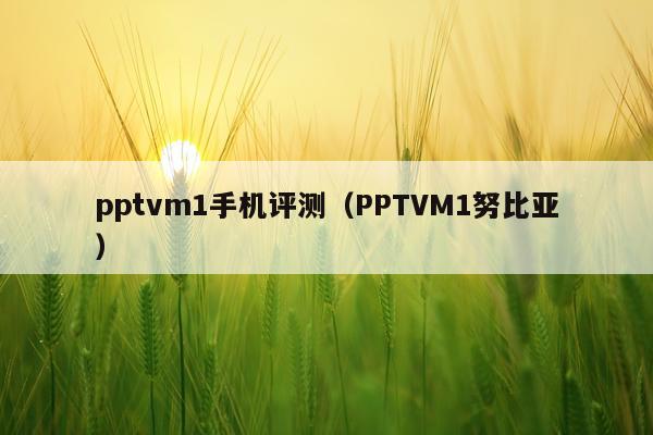 pptvm1手机评测（PPTVM1努比亚）