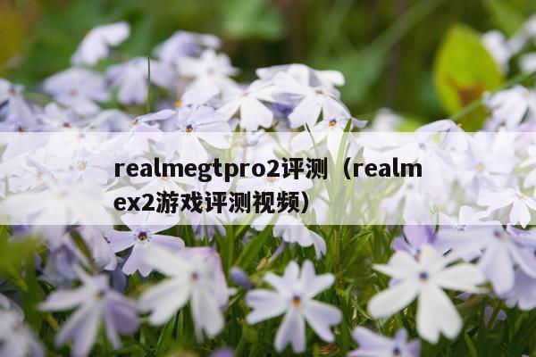 realmegtpro2评测（realmex2游戏评测视频）