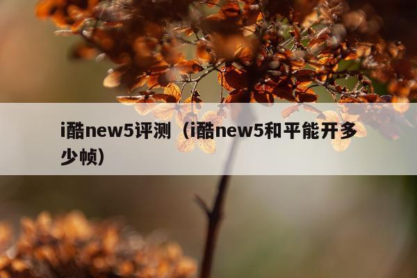 i酷new5评测（i酷new5和平能开多少帧）