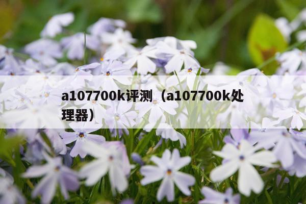 a107700k评测（a107700k处理器）