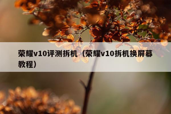 荣耀v10评测拆机（荣耀v10拆机换屏幕教程）