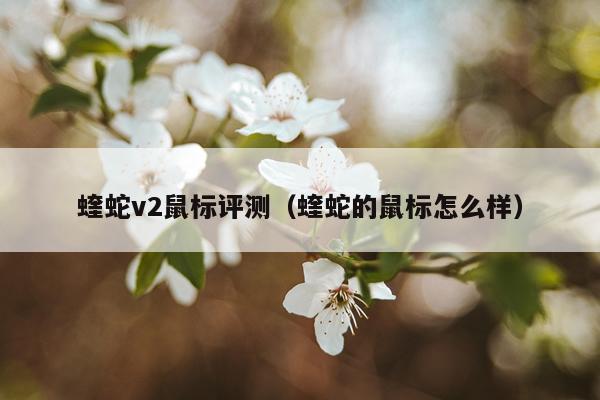 蝰蛇v2鼠标评测（蝰蛇的鼠标怎么样）