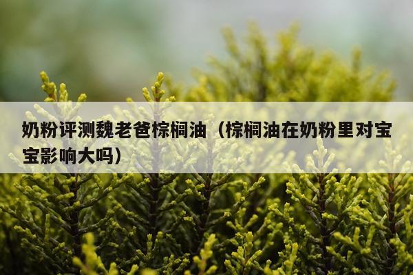 奶粉评测魏老爸棕榈油（棕榈油在奶粉里对宝宝影响大吗）